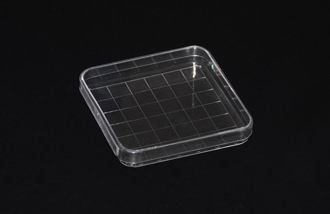 Clear Plastic 100X15mm Sterile Petri Dishes Disposable Square Shape for Laboratory